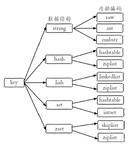 Redis 数据类型